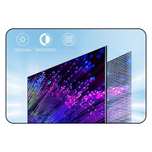 PROFESSIONAL DISPLAY 110”